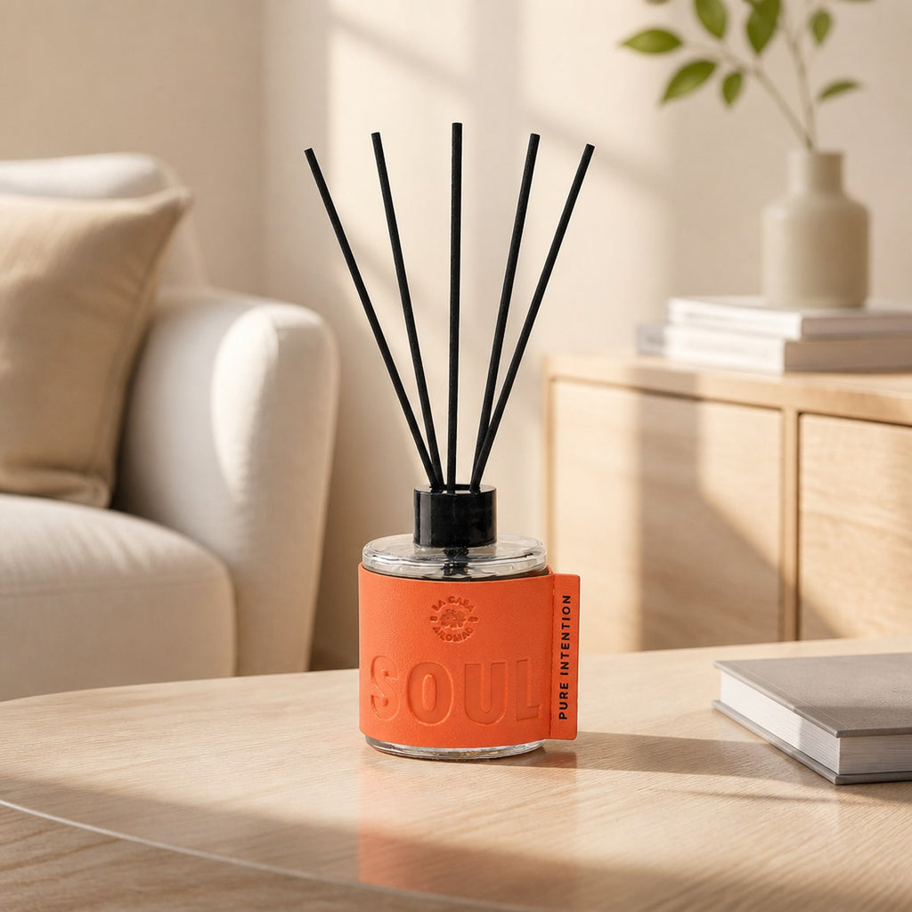 Aromatic Spiral Diffuser La Casa de los Aromas Soul