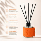 Aromatic Spiral Diffuser La Casa de los Aromas Soul