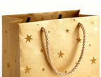 Bolsas Regalo 18x23x10 cm