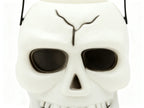 CALAVERA DE HALLOWEEN CON GYPSOPHILA (1 PIEZA)
