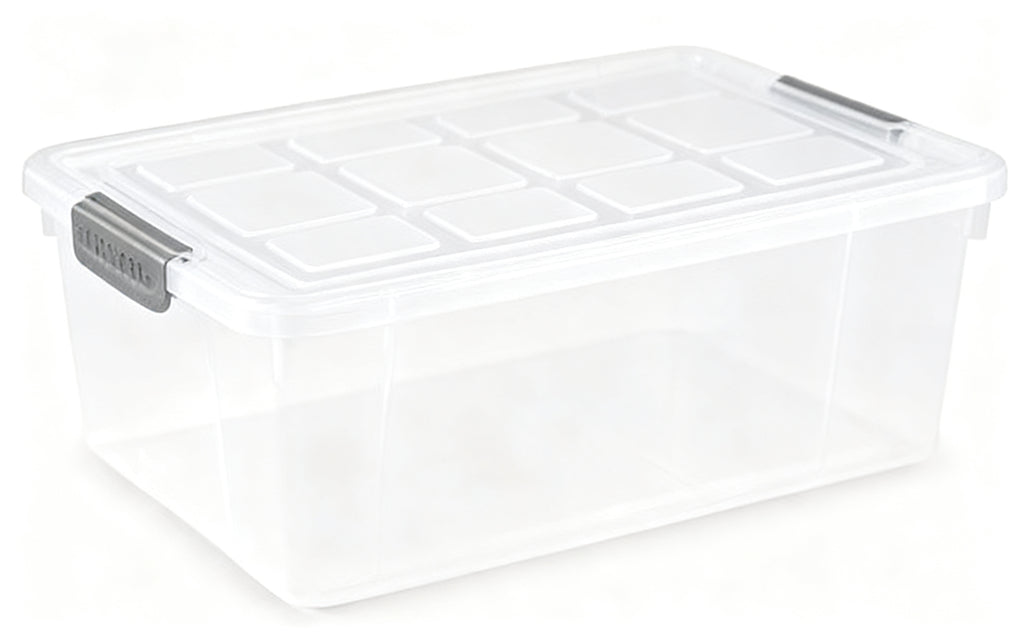 CAJA Nº 29 9 L PLATA F1729
