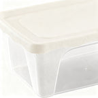 FIAMBRERA RECTANGULAR 0,5 L SURTIDO PASTEL