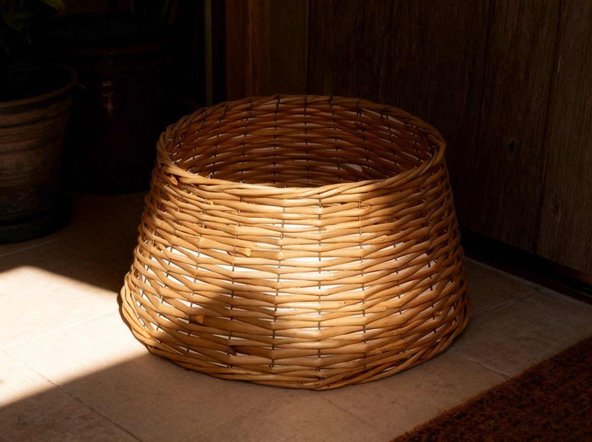 PIE DE PINO NATURAL 42X32X20CM BUBION