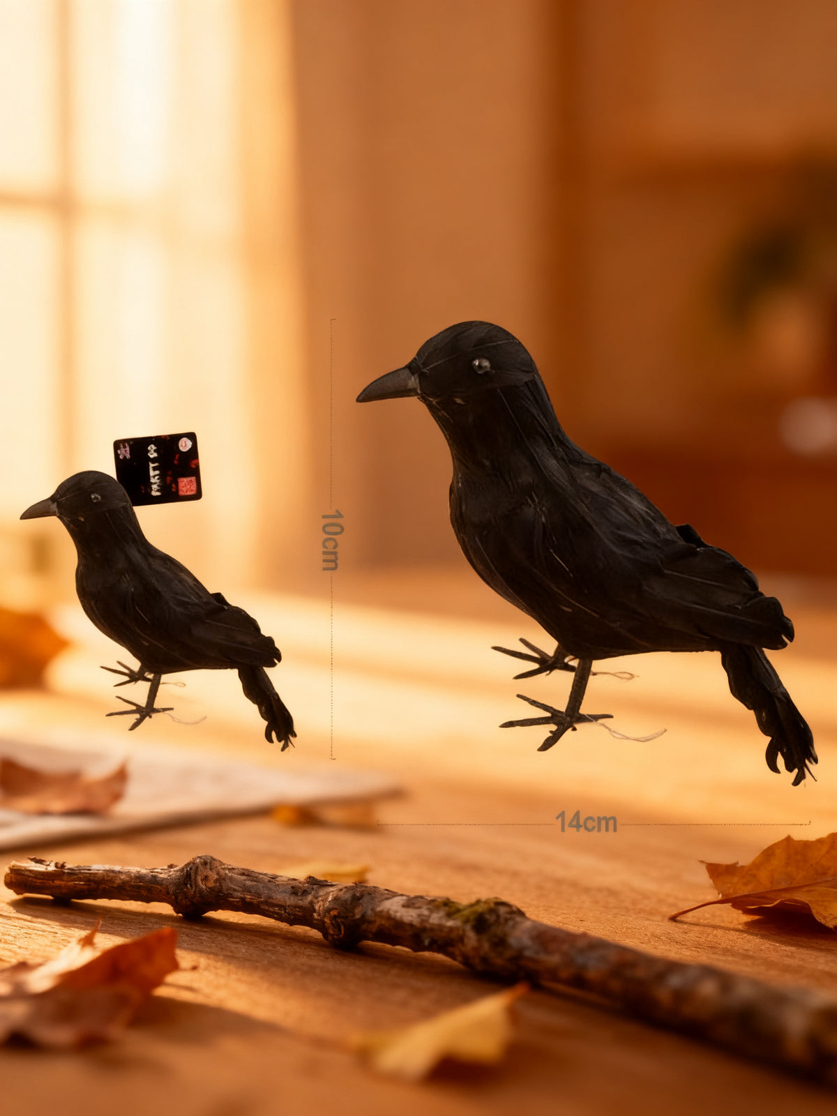 Cuervo Negro Pequeño para Halloween