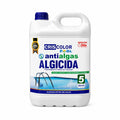 Alguicida Liquido para Piscina - imagenes de producto y uso