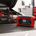 Cargador de Baterías EMI PRO 6A